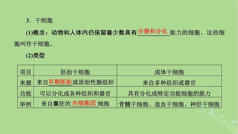 新课标2023版高考生物一轮总复习第四单元细胞的生命历程第2讲细胞的分化衰老和死亡课件第5页