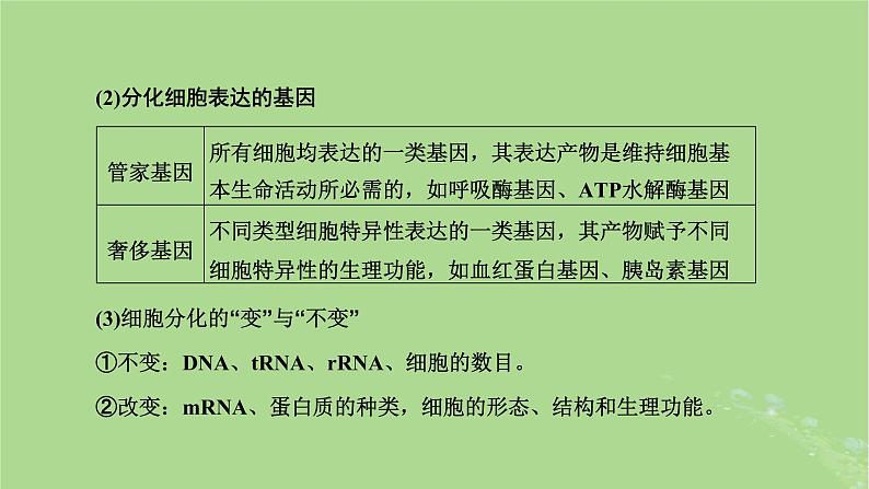 新课标2023版高考生物一轮总复习第四单元细胞的生命历程第2讲细胞的分化衰老和死亡课件第8页