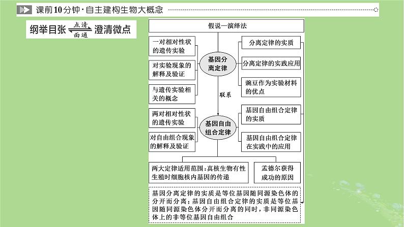 新课标2023版高考生物一轮总复习第五单元遗传的基本规律和伴性遗传第1讲孟德尔遗传定律的发现与内容课件03