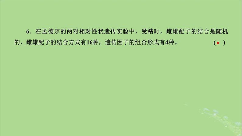 新课标2023版高考生物一轮总复习第五单元遗传的基本规律和伴性遗传第1讲孟德尔遗传定律的发现与内容课件05