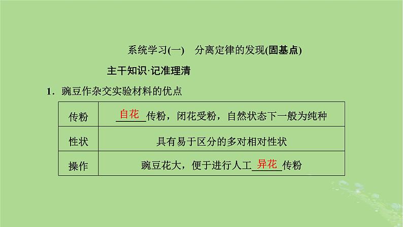 新课标2023版高考生物一轮总复习第五单元遗传的基本规律和伴性遗传第1讲孟德尔遗传定律的发现与内容课件06