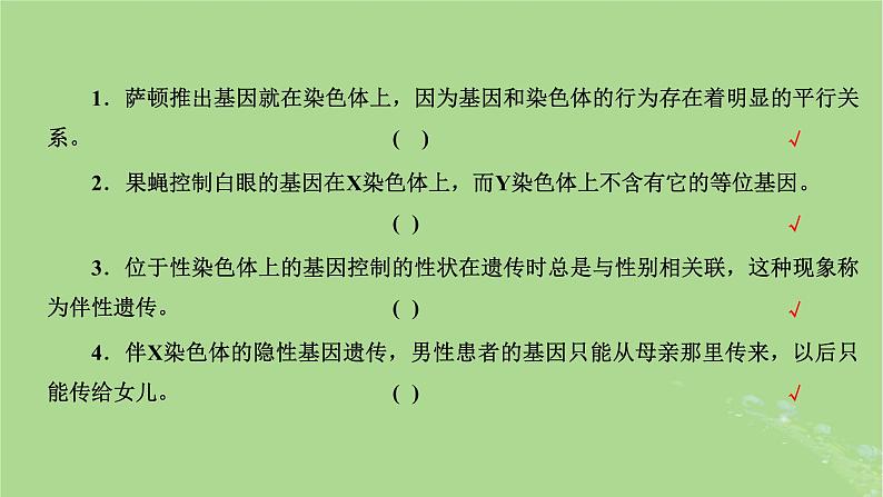 新课标2023版高考生物一轮总复习第五单元遗传的基本规律和伴性遗传第2讲基因在染色体上和伴性遗传课件02