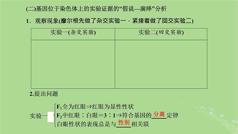 新课标2023版高考生物一轮总复习第五单元遗传的基本规律和伴性遗传第2讲基因在染色体上和伴性遗传课件04