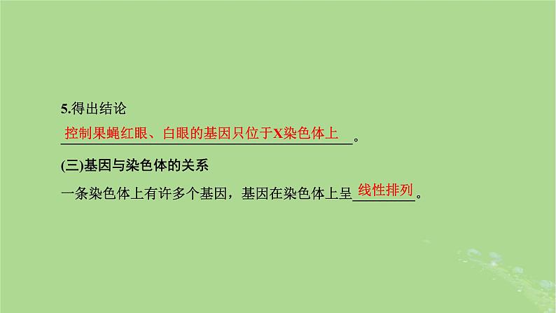 新课标2023版高考生物一轮总复习第五单元遗传的基本规律和伴性遗传第2讲基因在染色体上和伴性遗传课件07