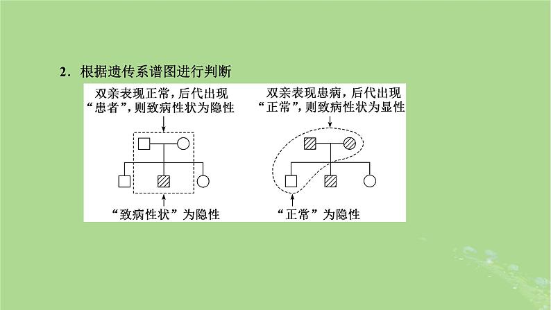 新课标2023版高考生物一轮总复习第五单元遗传的基本规律和伴性遗传第3讲分离定律的基本解题规律与方法课件08