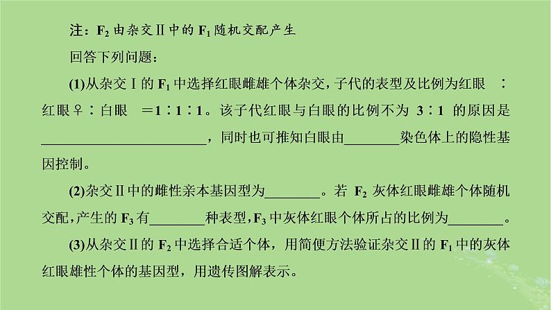 新课标2023版高考生物一轮总复习第五单元遗传的基本规律和伴性遗传第6讲有关遗传类实验的设计与分析课件第3页