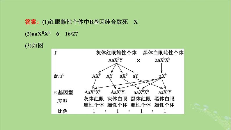 新课标2023版高考生物一轮总复习第五单元遗传的基本规律和伴性遗传第6讲有关遗传类实验的设计与分析课件第5页