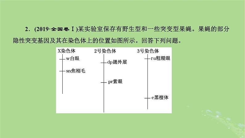 新课标2023版高考生物一轮总复习第五单元遗传的基本规律和伴性遗传第6讲有关遗传类实验的设计与分析课件第6页