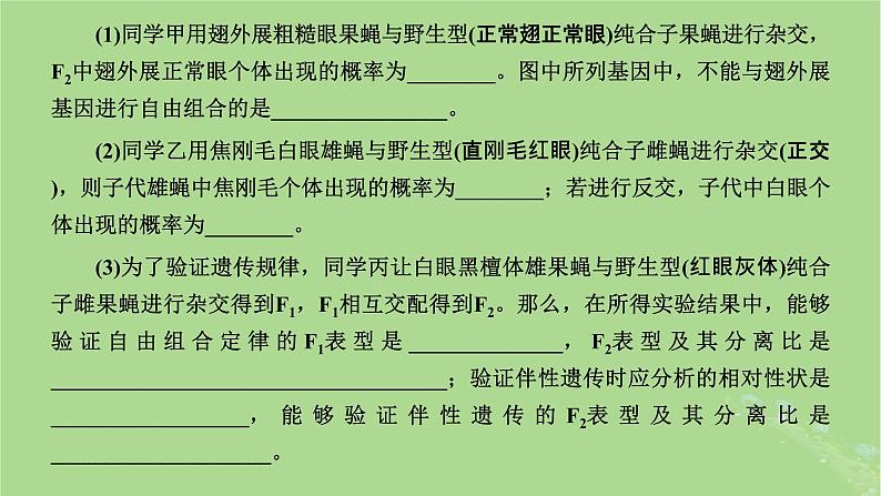 新课标2023版高考生物一轮总复习第五单元遗传的基本规律和伴性遗传第6讲有关遗传类实验的设计与分析课件第7页