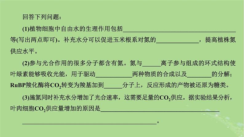 新课标2023版高考生物一轮总复习第一单元走近细胞和组成细胞的分子第4讲细胞中的物质在生命活动中的相互关系课件第6页