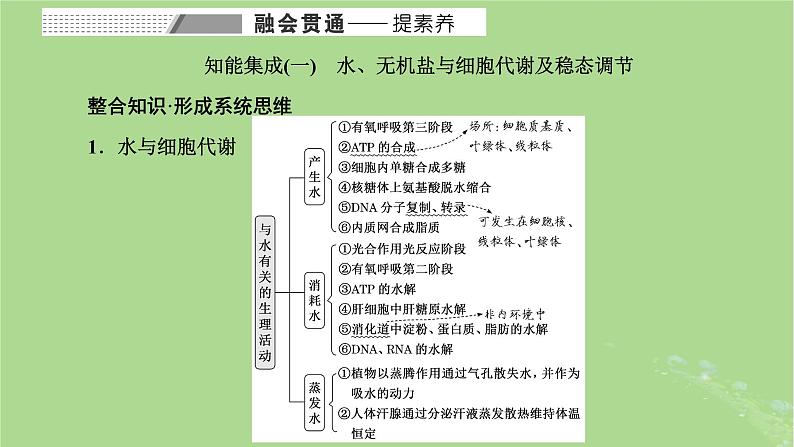 新课标2023版高考生物一轮总复习第一单元走近细胞和组成细胞的分子第4讲细胞中的物质在生命活动中的相互关系课件第8页