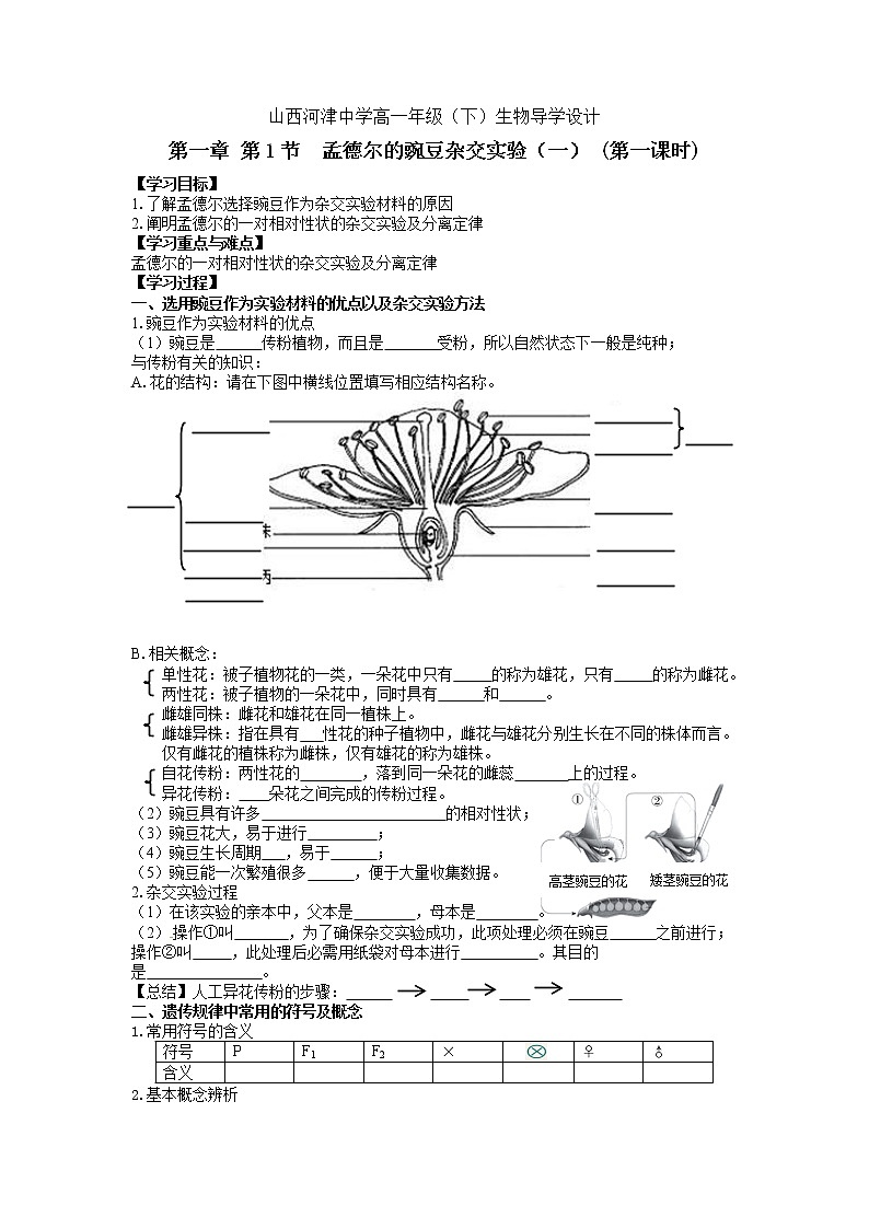 新人教版（2019）高中生物必修2 1.1分离定律分离定律第一课时学案第1页