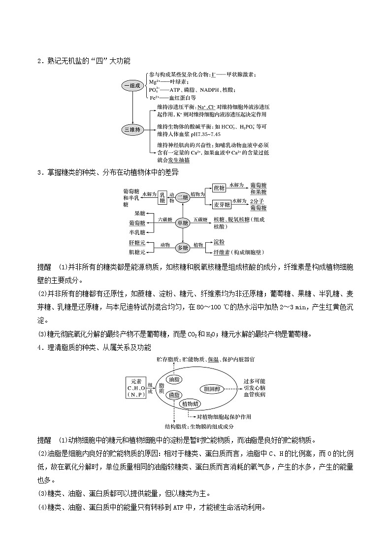 高考生物二轮复习专题1细胞的分子组成、结构及生命历程第1讲细胞的分子组成和结构学案02