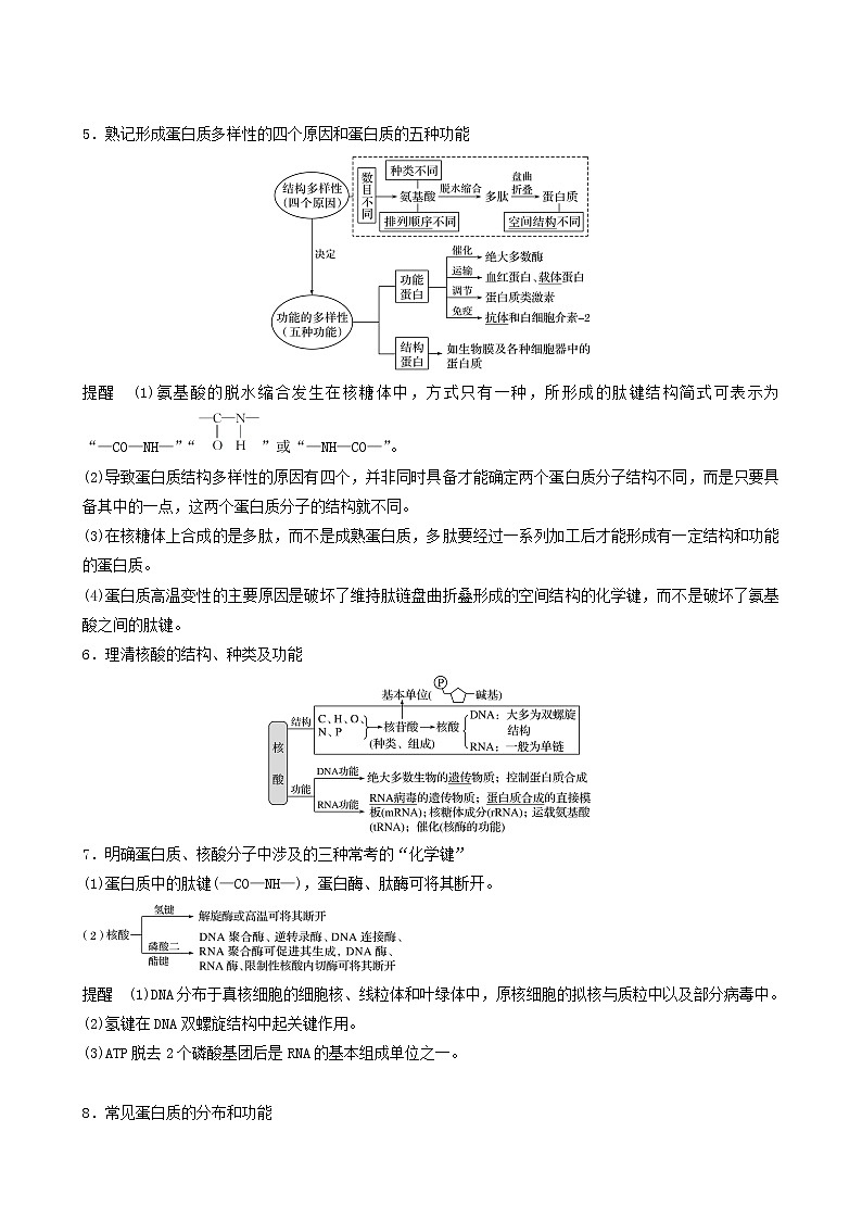 高考生物二轮复习专题1细胞的分子组成、结构及生命历程第1讲细胞的分子组成和结构学案03
