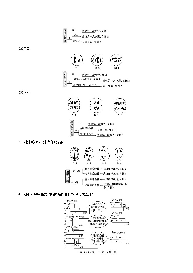 高考生物二轮复习专题1细胞的分子组成、结构及生命历程第2讲细胞的生命历程（含减数分裂、遗传的染色体学说）学案02
