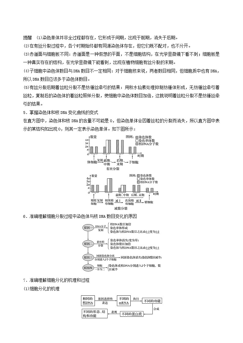 高考生物二轮复习专题1细胞的分子组成、结构及生命历程第2讲细胞的生命历程（含减数分裂、遗传的染色体学说）学案03