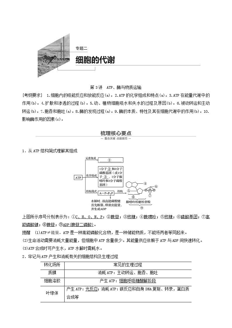 高考生物二轮复习专题2细胞的代谢第3讲atp、酶与物质运输学案第1页