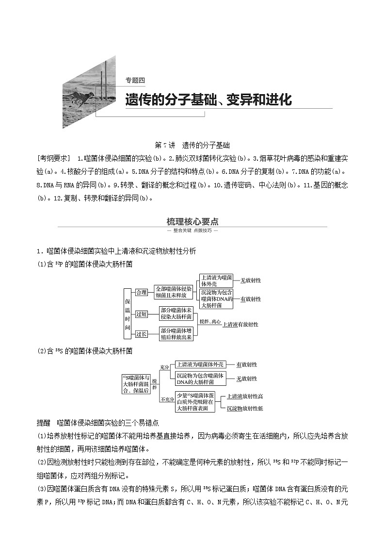 高考生物二轮复习专题4遗传的分子基础、变异和进化第7讲遗传的分子基础学案01