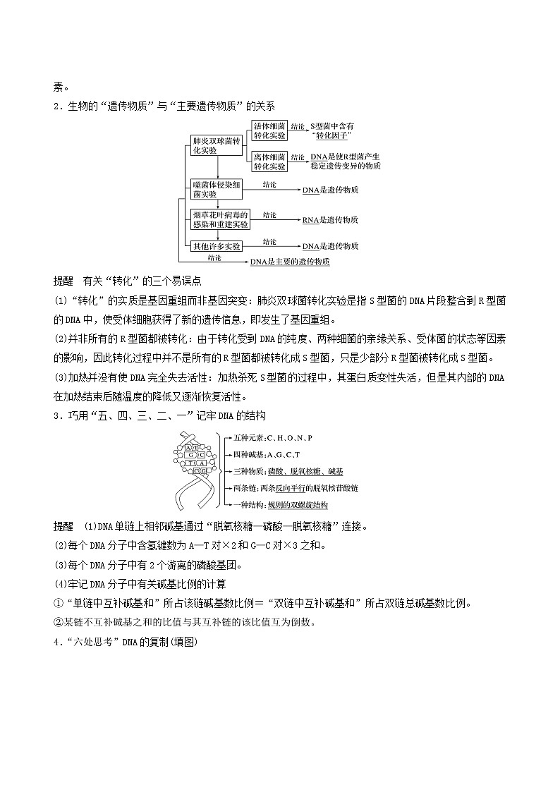 高考生物二轮复习专题4遗传的分子基础、变异和进化第7讲遗传的分子基础学案02