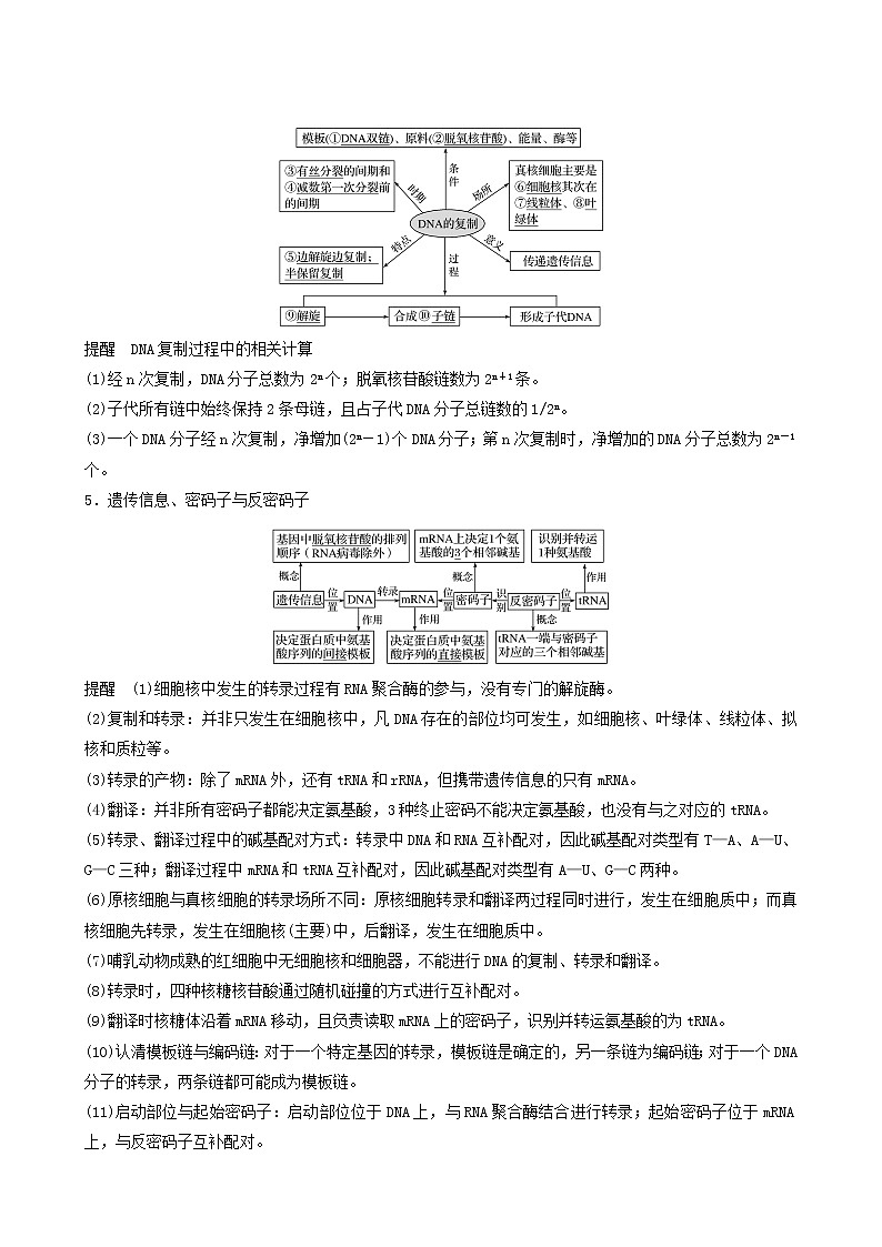 高考生物二轮复习专题4遗传的分子基础、变异和进化第7讲遗传的分子基础学案03