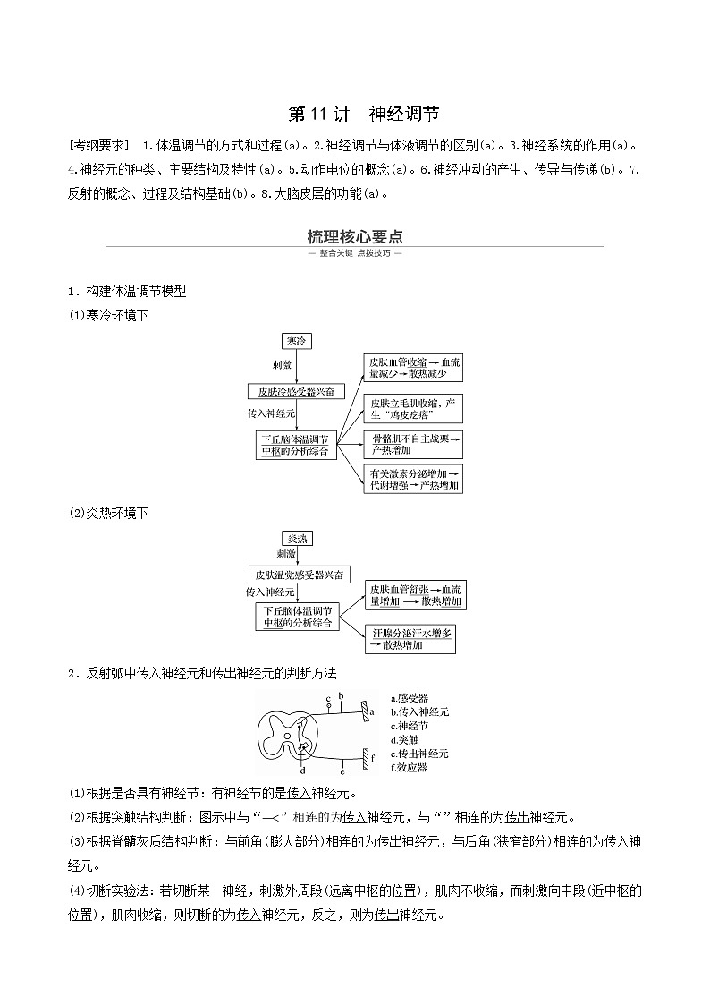 高考生物二轮复习专题5生命活动的调节第11讲神经调节学案第1页