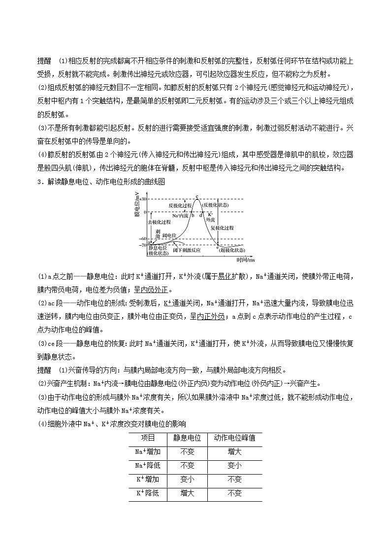 高考生物二轮复习专题5生命活动的调节第11讲神经调节学案第2页