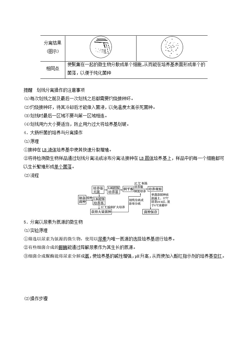 高考生物二轮复习专题8生物技术实践第17讲微生物的利用与酶的应用学案第3页
