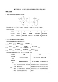 高考生物二轮复习专题2细胞的代谢重要题型2光合作用和细胞呼吸综合及实验探究含答案