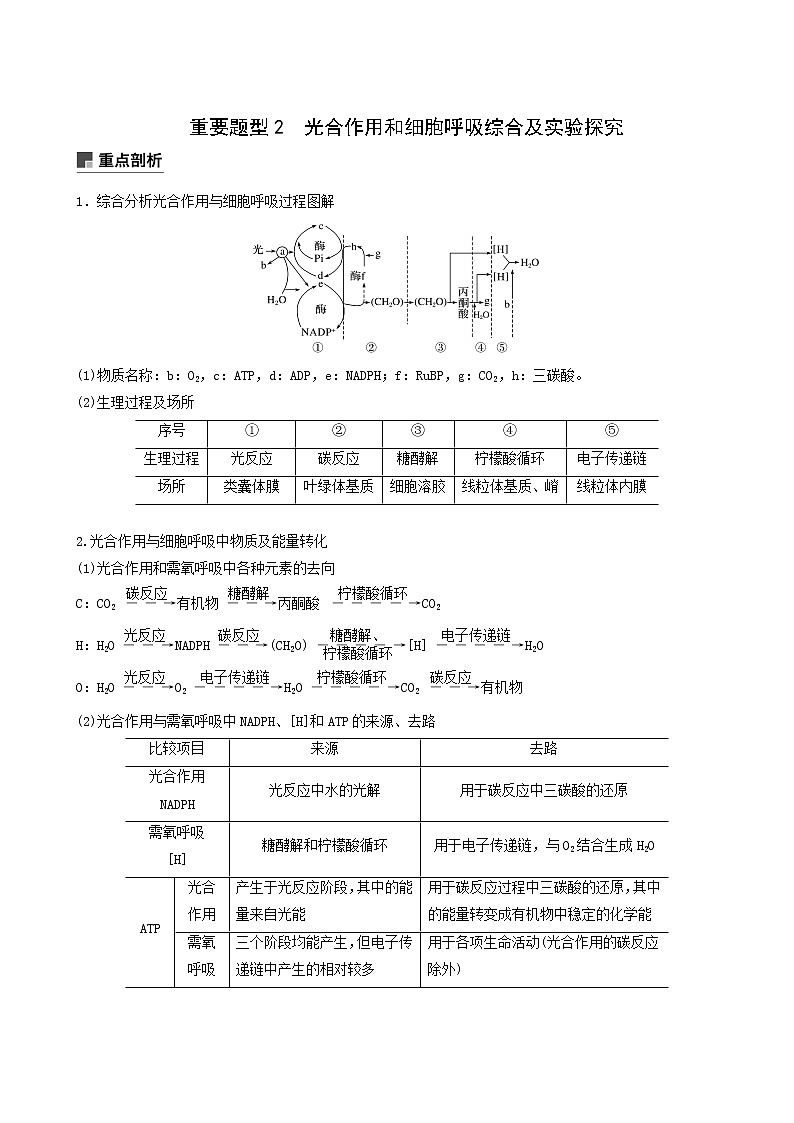 高考生物二轮复习专题2细胞的代谢重要题型2光合作用和细胞呼吸综合及实验探究含答案第1页