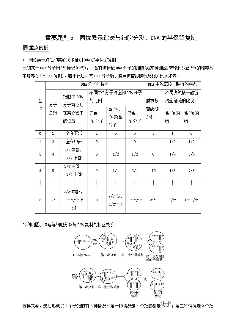 高考生物二轮复习专题4遗传的分子基础、变异和进化重要题型5同位素示踪法与细胞分裂、dna的半保留复制含答案第1页
