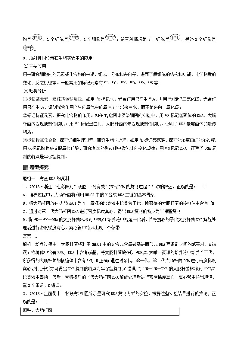 高考生物二轮复习专题4遗传的分子基础、变异和进化重要题型5同位素示踪法与细胞分裂、dna的半保留复制含答案第2页