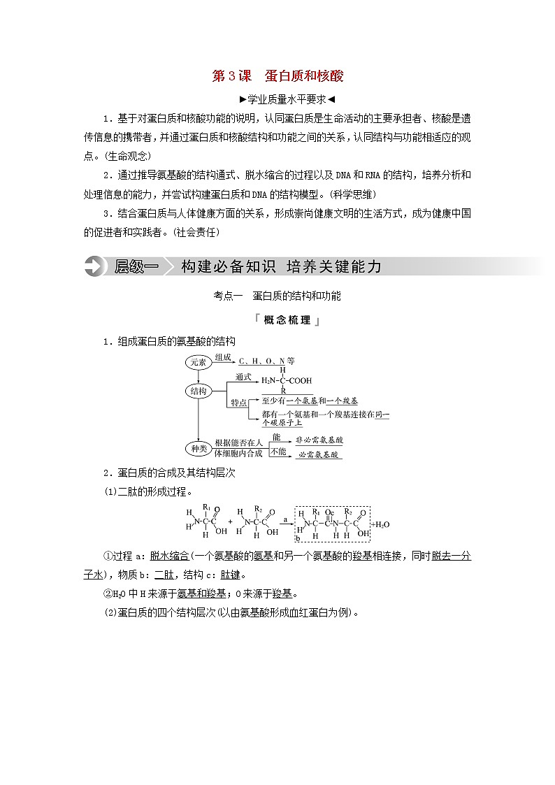 2023版高考生物一轮总复习第1单元细胞及其分子组成第3课蛋白质和核酸教师用书第1页
