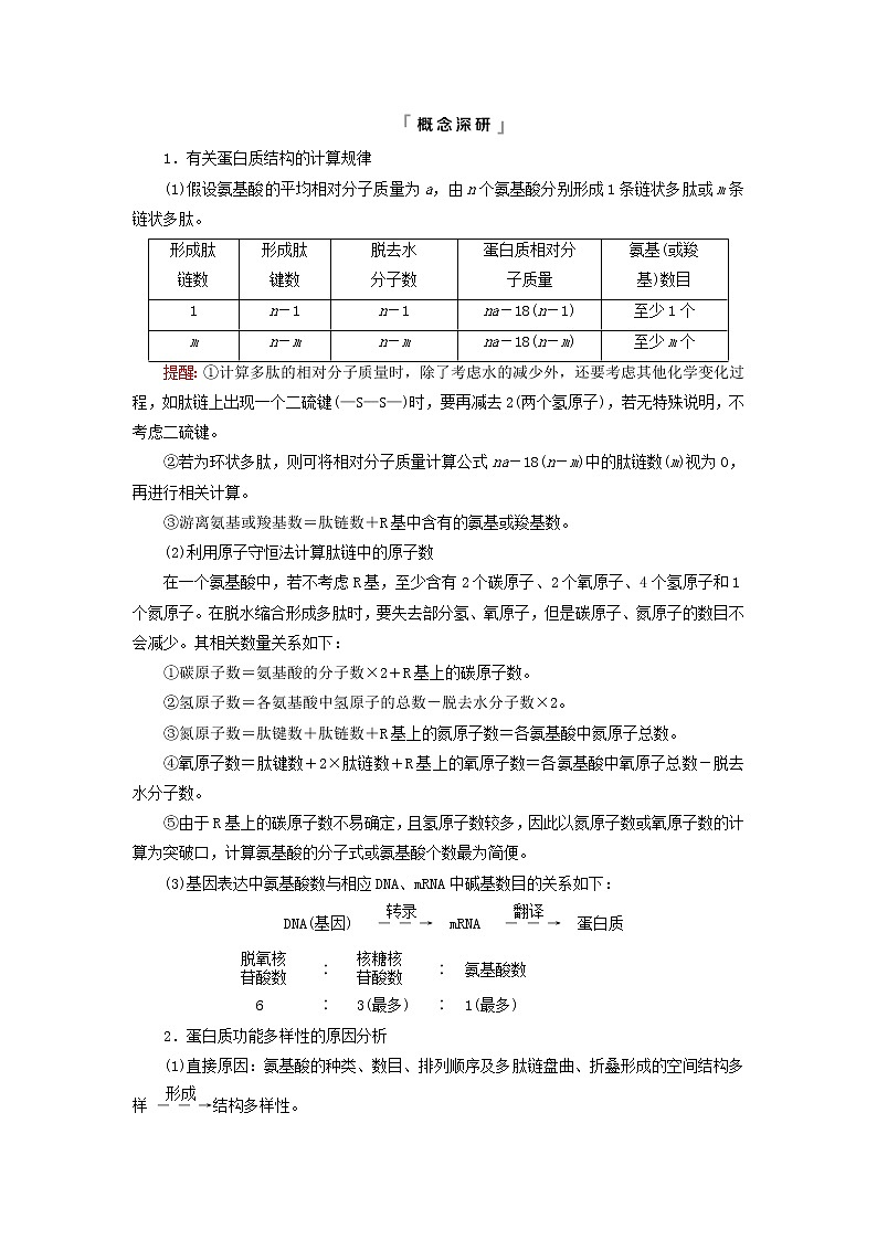 2023版高考生物一轮总复习第1单元细胞及其分子组成第3课蛋白质和核酸教师用书第3页