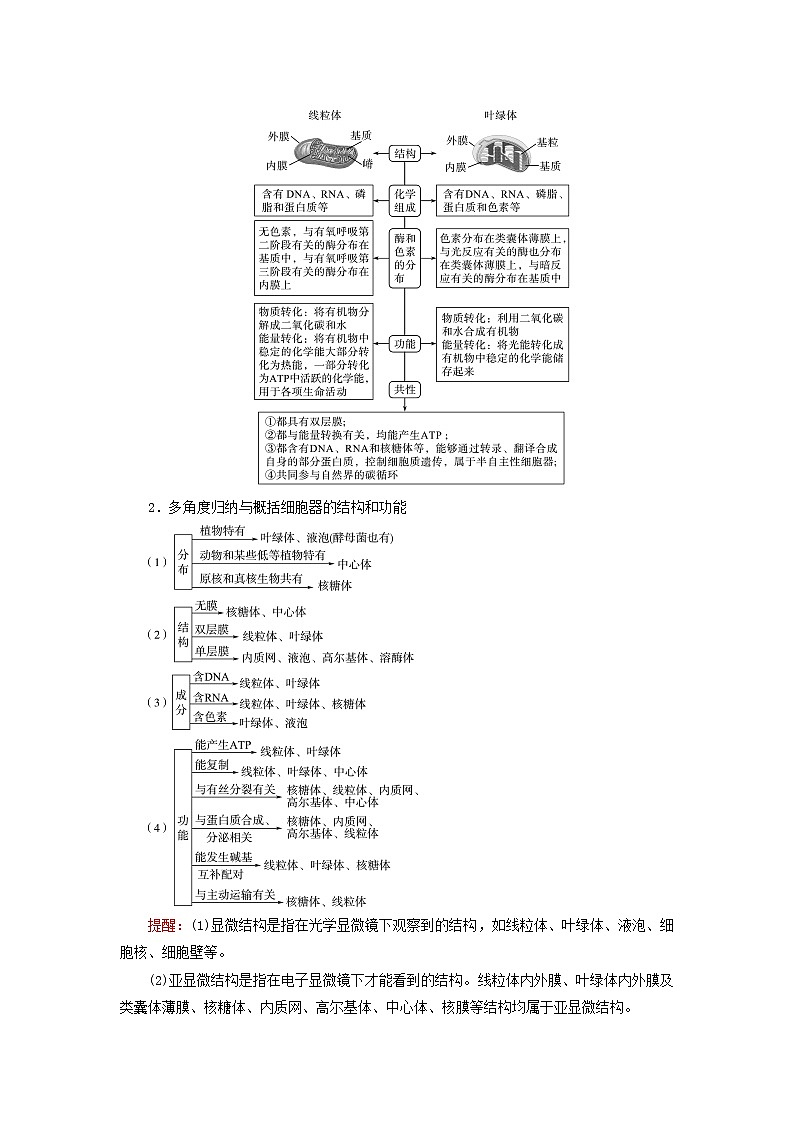 2023版高考生物一轮总复习第2单元细胞的基本结构第5课细胞器之间的分工合作教师用书第3页