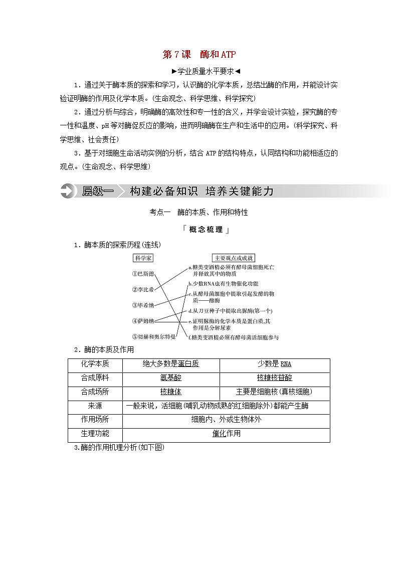 2023版高考生物一轮总复习第3单元细胞的能量供应和利用第7课酶和ATP教师用书01