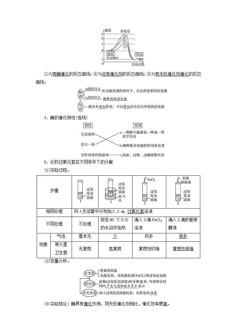 2023版高考生物一轮总复习第3单元细胞的能量供应和利用第7课酶和ATP教师用书02