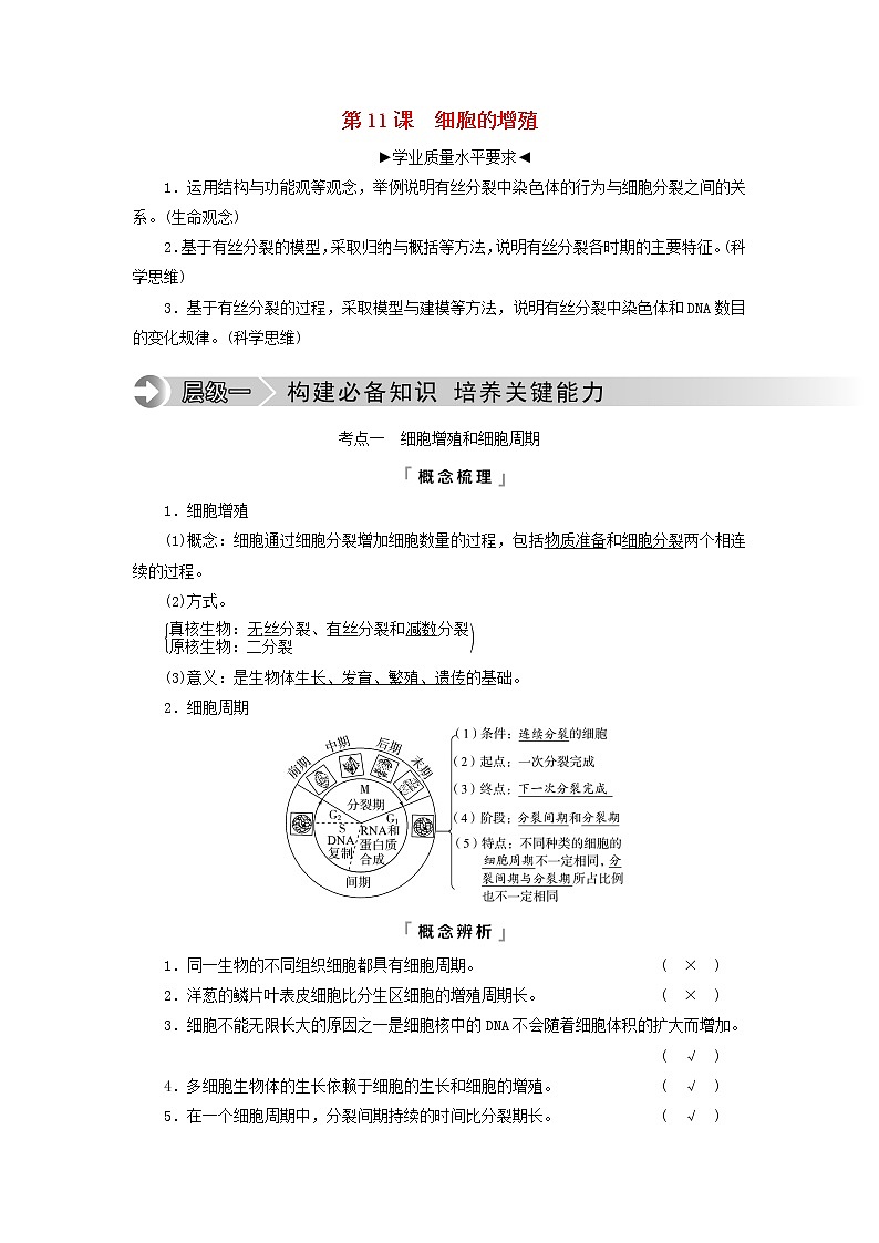 2023版高考生物一轮总复习第4单元细胞的生命历程第11课细胞的增殖教师用书01