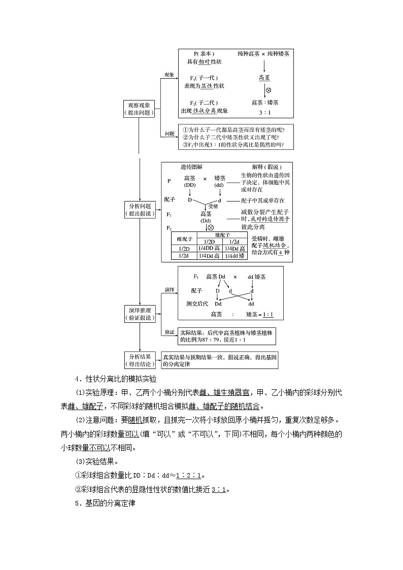 2023版高考生物一轮总复习第5单元遗传的基本规律与伴性遗传第14课基因的分离定律教师用书02
