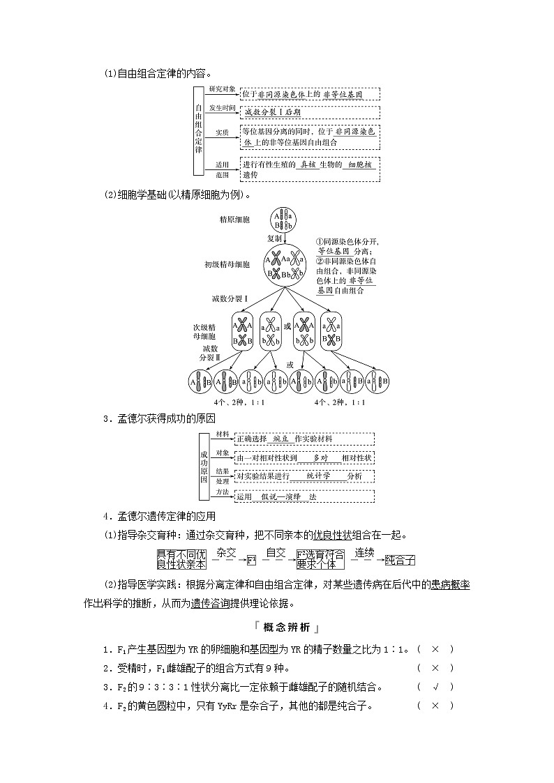 2023版高考生物一轮总复习第5单元遗传的基本规律与伴性遗传第15课基因的自由组合定律教师用书02