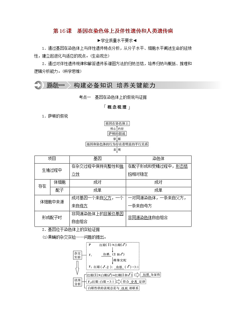 2023版高考生物一轮总复习第5单元遗传的基本规律与伴性遗传第16课基因在染色体上及伴性遗传和人类遗传病教师用书01