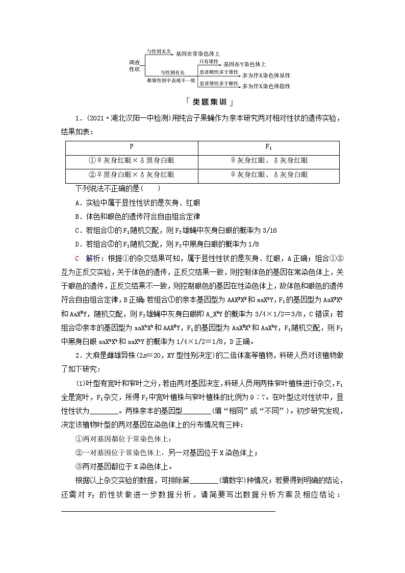 2023版高考生物一轮总复习第5单元遗传的基本规律与伴性遗传实验探究系列3.遗传类实验的设计教师用书02