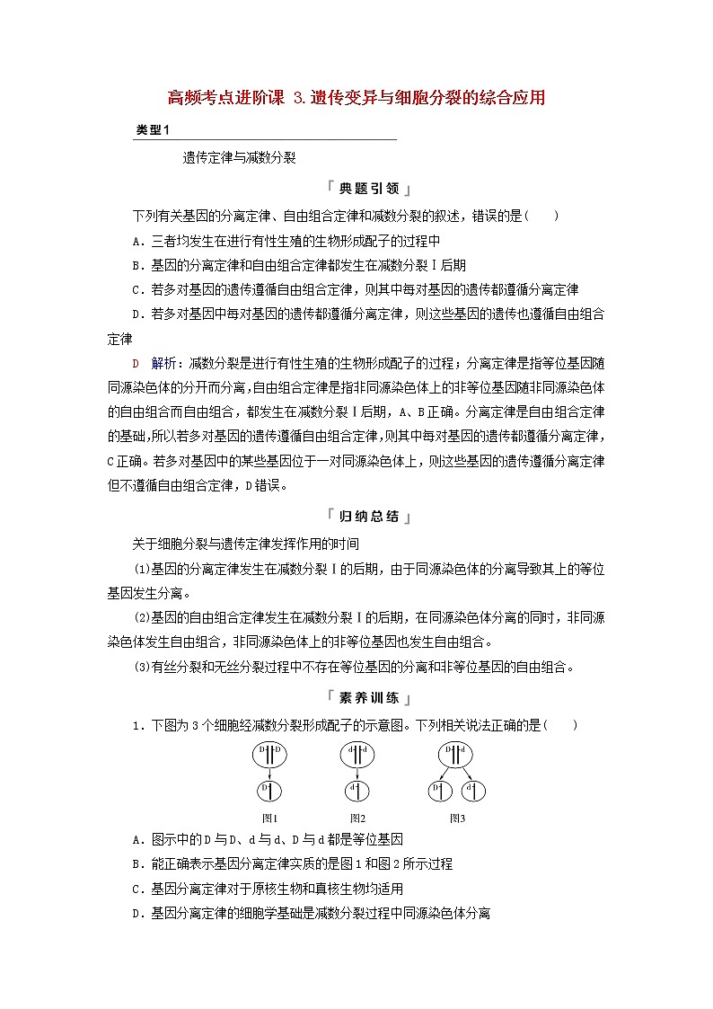 2023版高考生物一轮总复习第7单元生物的变异育种与进化高频考点进阶课3.遗传变异与细胞分裂的综合应用教师用书01