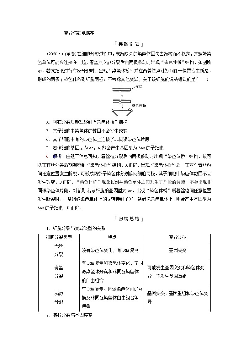2023版高考生物一轮总复习第7单元生物的变异育种与进化高频考点进阶课3.遗传变异与细胞分裂的综合应用教师用书03