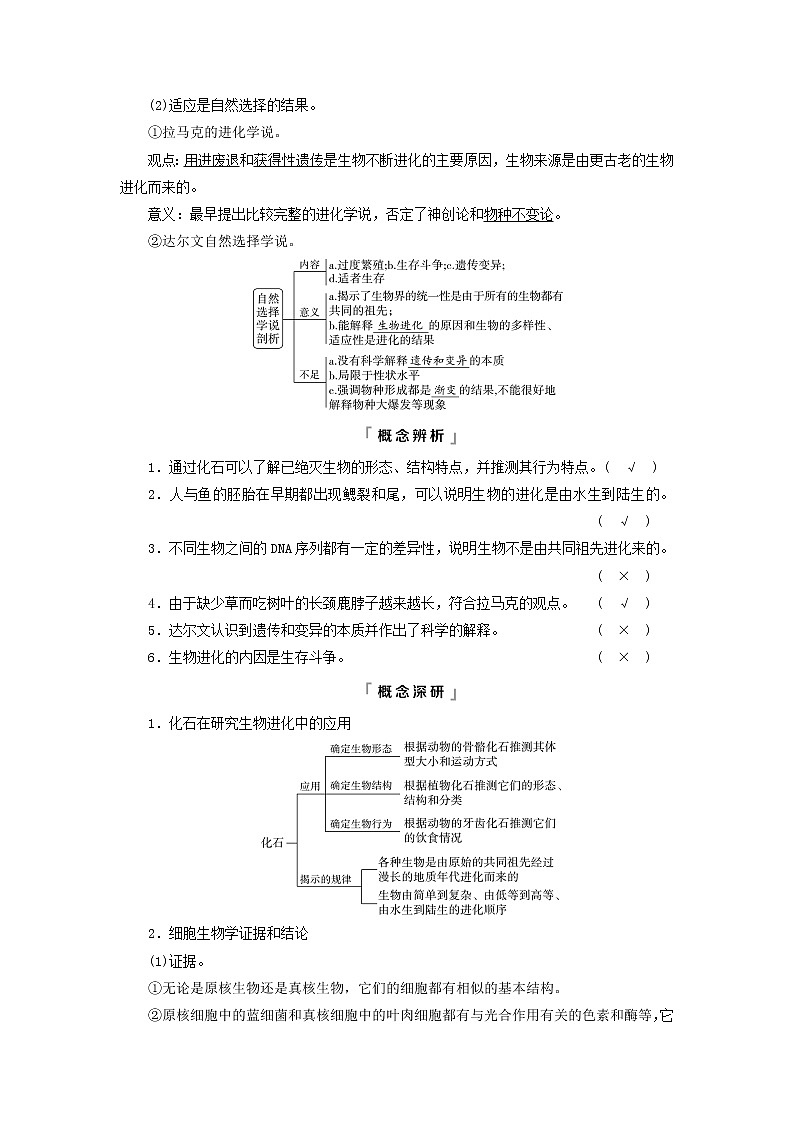 2023版高考生物一轮总复习第7单元生物的变异育种与进化第22课生物的进化教师用书第2页