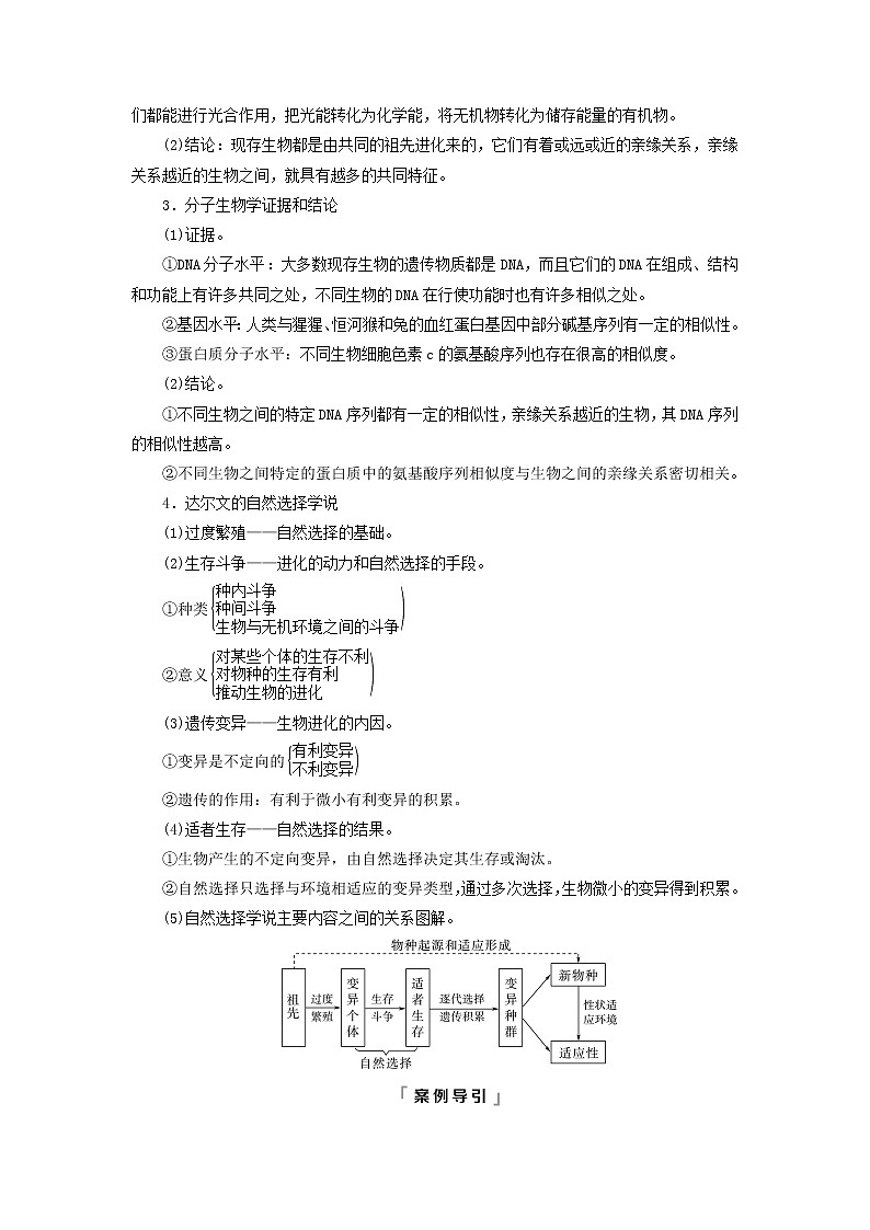 2023版高考生物一轮总复习第7单元生物的变异育种与进化第22课生物的进化教师用书第3页