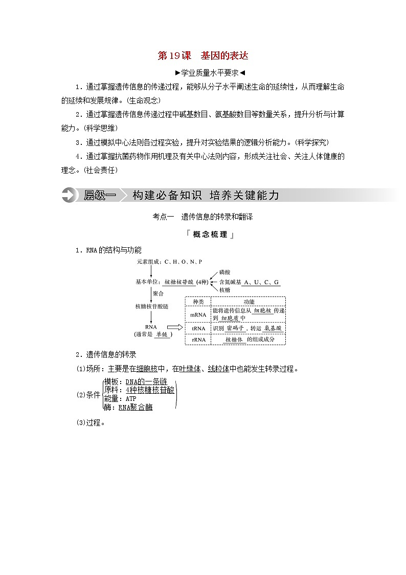 2023版高考生物一轮总复习第6单元基因的本质和表达第19课基因的表达教师用书01