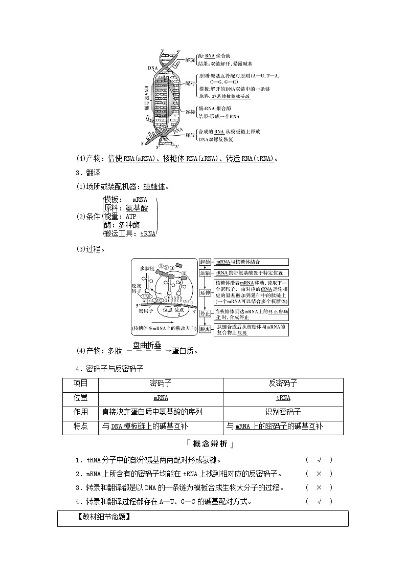 2023版高考生物一轮总复习第6单元基因的本质和表达第19课基因的表达教师用书02