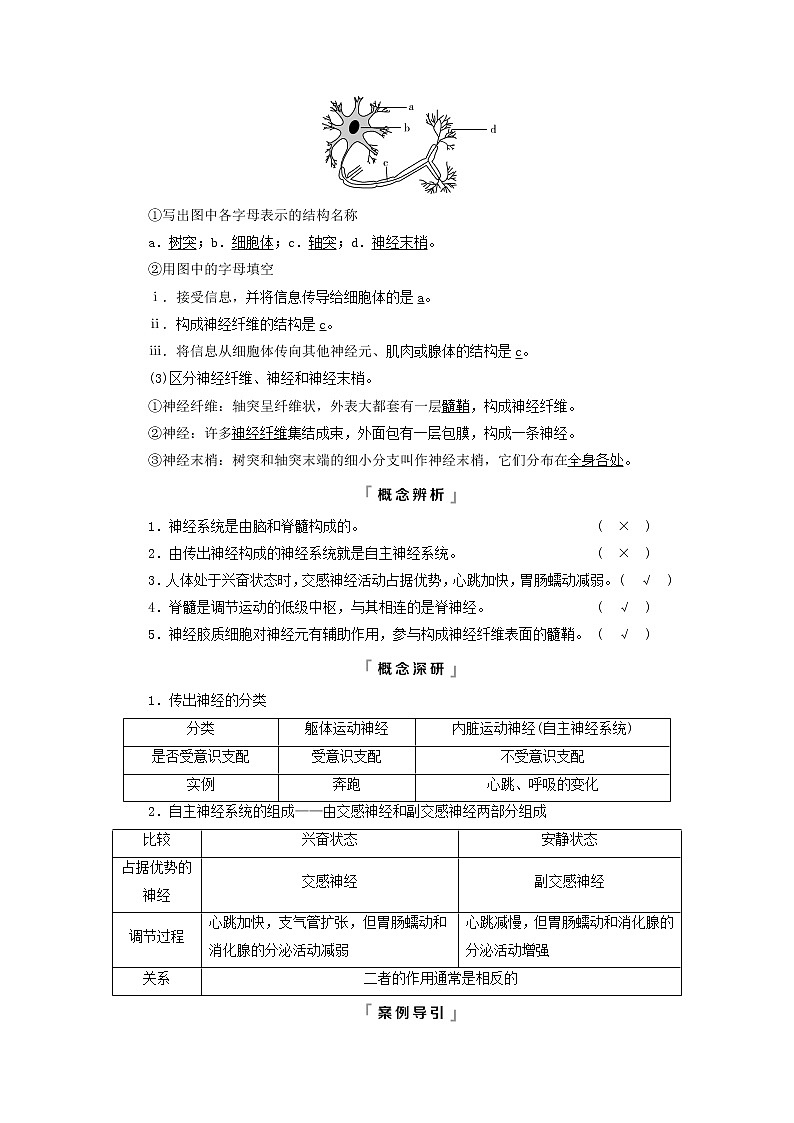 2023版高考生物一轮总复习第8单元生命活动的调节第24课神经调节的结构基础及基本方式教师用书02