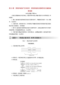 2023版高考生物一轮总复习第8单元生命活动的调节第25课神经冲动的产生和传导神经系统的分级调节及人脑的高级功能教师用书