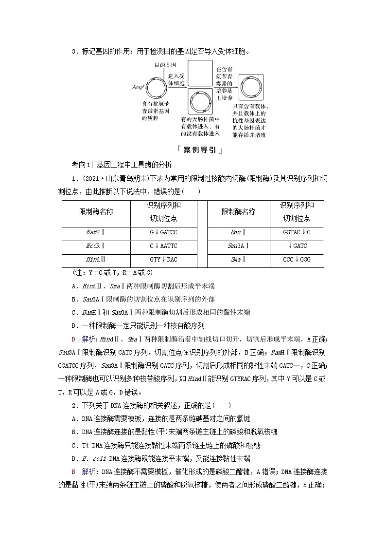 2023版高考生物一轮总复习第10单元生物技术与工程第40课基因工程教师用书03